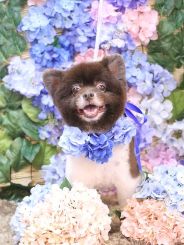 20250626太郎くん